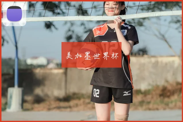 美加墨世界杯