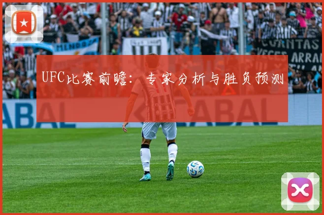 UFC比赛前瞻:专家分析与胜负预测