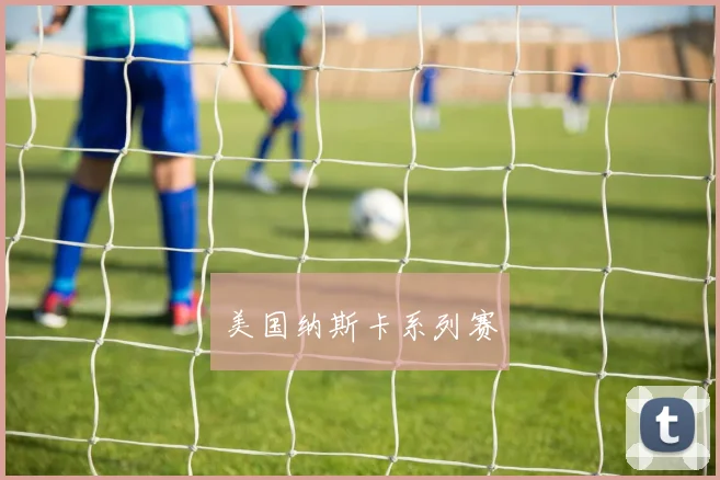 美国纳斯卡系列赛