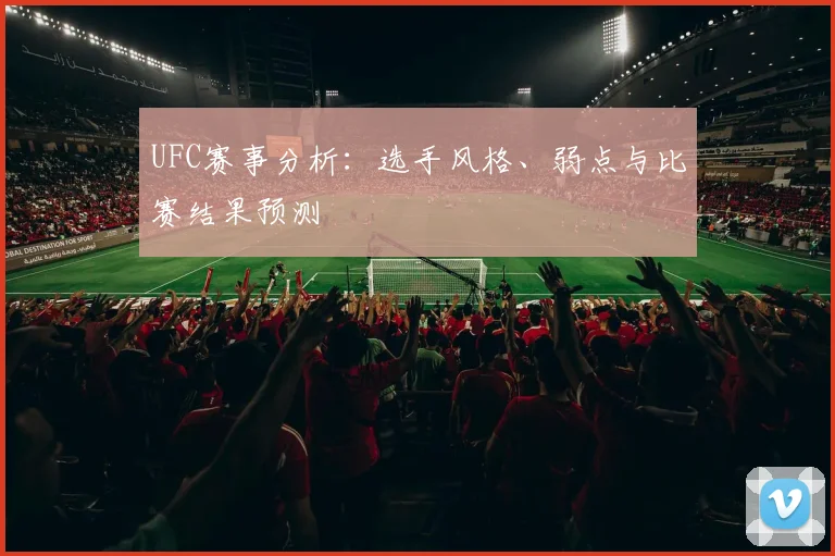 UFC赛事分析：选手风格、弱点与比赛结果预测